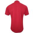 Plain Maroon T-shirt : Regular