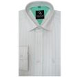 Stripes Green Shirt : Business
