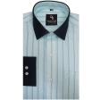 Stripes Green Shirt : Business