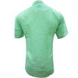 Combination Green Shirt : Ditto