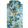 Print Blue Shirt : Ditto
