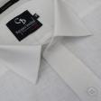 Plain White Shirt : Business