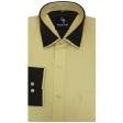 Plain Lemon Shirt : Business