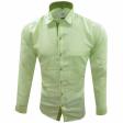 Combination Light Green Shirt : Ditto