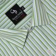 Stripes Light Green Shirt : Business