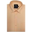 Plain Orange Shirt : Business
