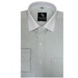 Stripes Light Green Shirt : Business