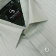 Stripes Light Green Shirt : Business