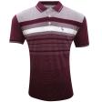 Stripes Maroon T-shirt : Regular