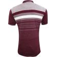 Stripes Maroon T-shirt : Regular