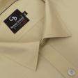Plain Rust Shirt : Business
