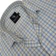 Checks Blue Shirt : Business