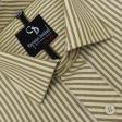 Stripes Fawn Shirt : Business
