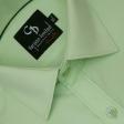 Plain Light Green Shirt : Business