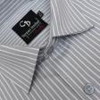 Stripes Gray Shirt : Business