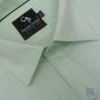 Stripes Green Shirt : Business