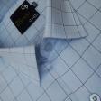 Checks Blue Shirt : Business