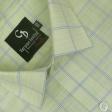 Checks Light Green Shirt : Business