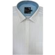 Stripes Green Shirt : Business
