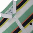 Stripes Green T-shirt : Regular
