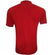 Plain Maroon T-shirt : Regular