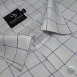 Checks White Shirt : Business