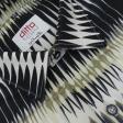 Print Black Shirt : Ditto