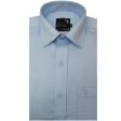 Plain Blue Shirt : Business