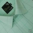 Checks Light Green Shirt : Business