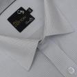 Stripes Blue Shirt : Business