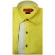 Combination Lemon Shirt : Ditto