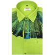 Handpainted Green Shirt : Ditto