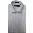 Stripes Gray Shirt : Business