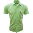 Plain Green T-shirt : Regular