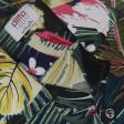 Print Blue Shirt : Ditto