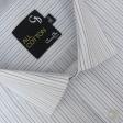 Stripes Blue Shirt : Business
