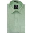 Plain Light Green Shirt : Business