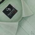 Plain Light Green Shirt : Business