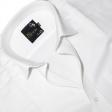 Plain White Shirt : Business