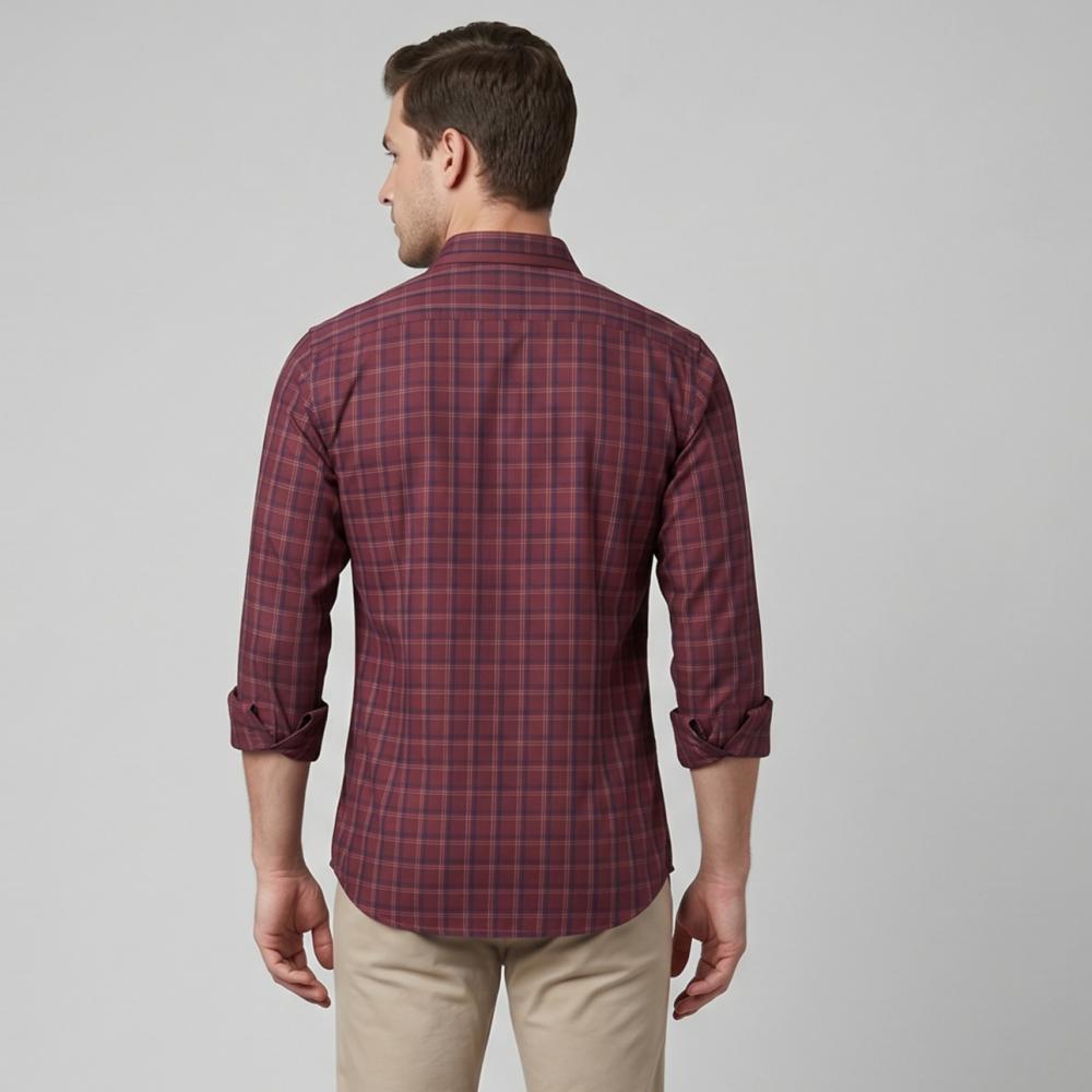 zoomimage