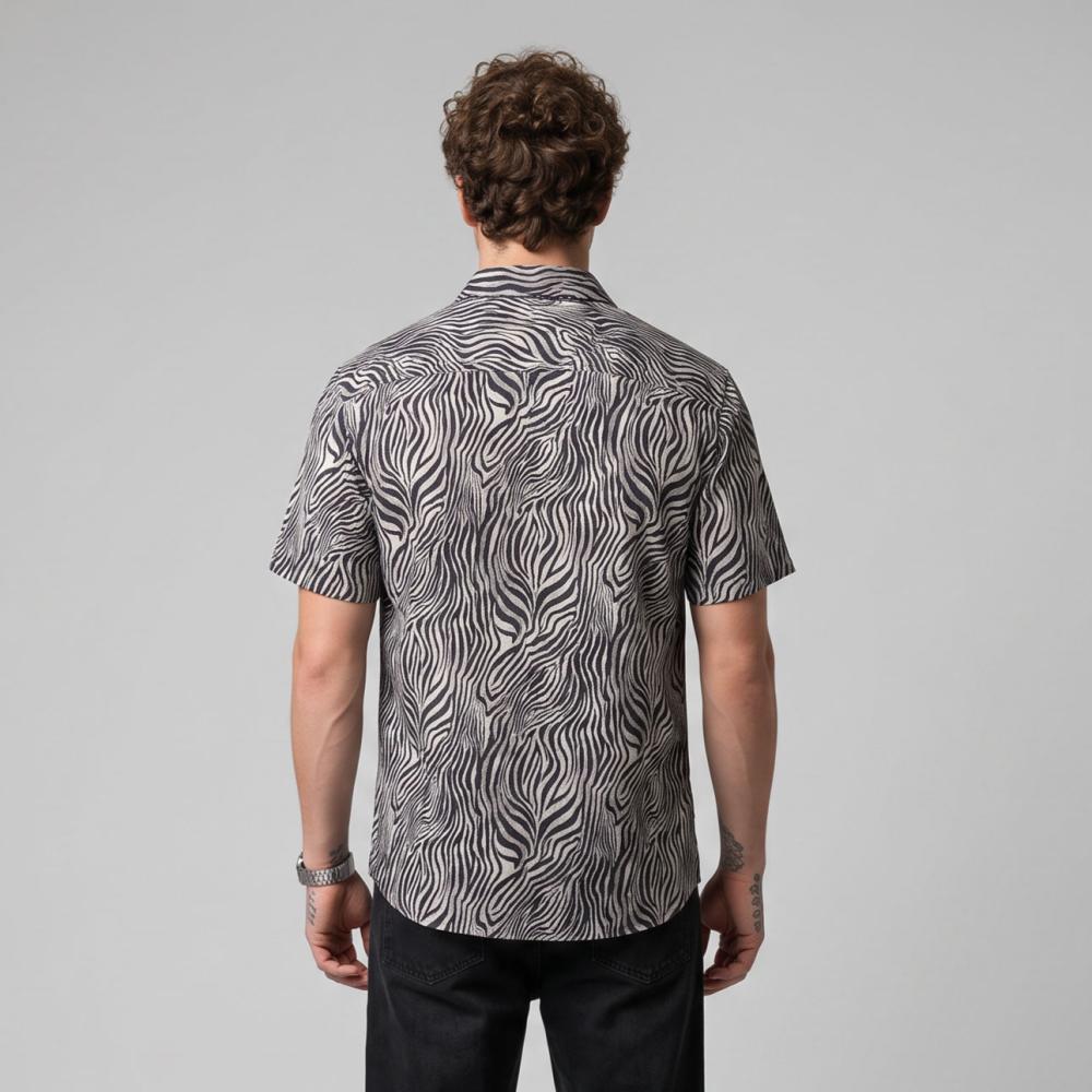 zoomimage