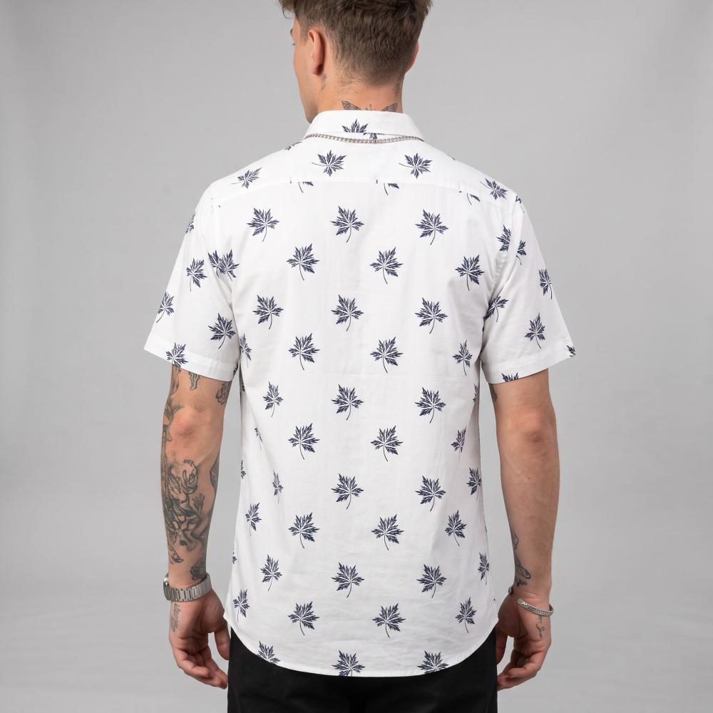 zoomimage